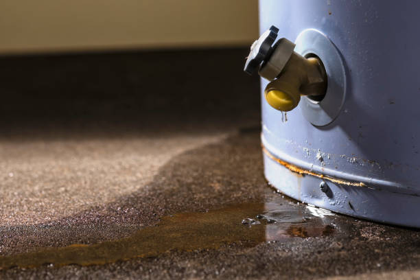 Best Water damage restoration experts  in La Joya, TX