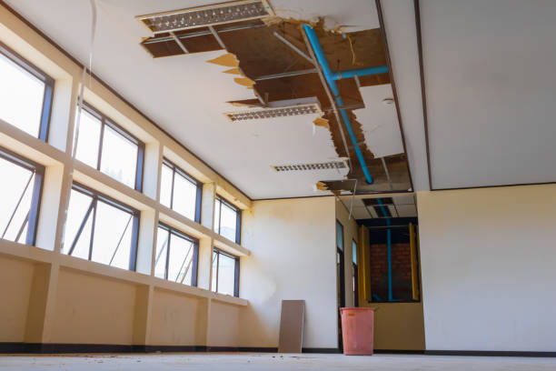 Best Professional water damage repair  in La Joya, TX