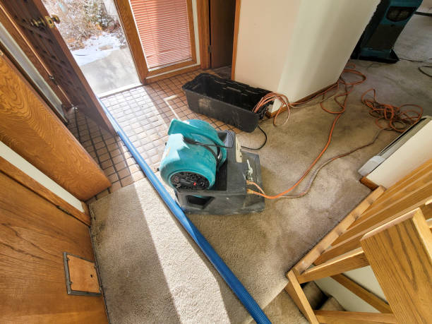 Best Water damage restoration cost  in La Joya, TX