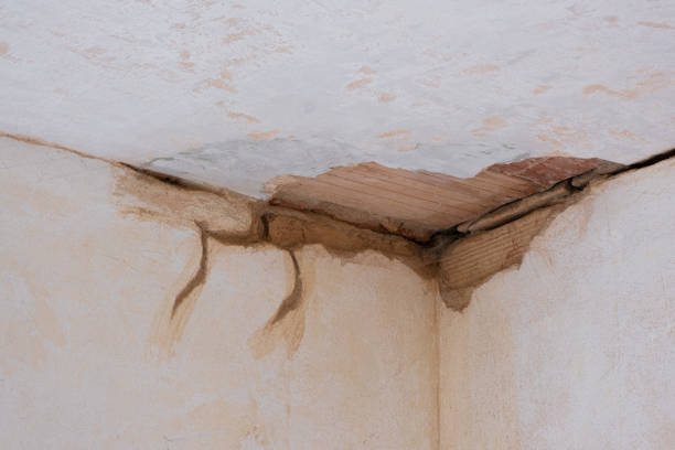 Best Sewage cleanup and water damage restoration  in La Joya, TX