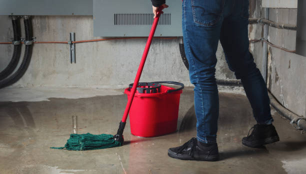 Best Water damage cleanup near me  in La Joya, TX