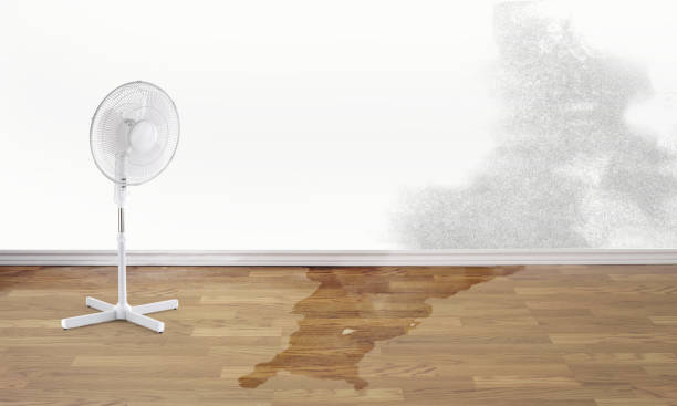 Best Fire Damage Restoration  in La Joya, TX