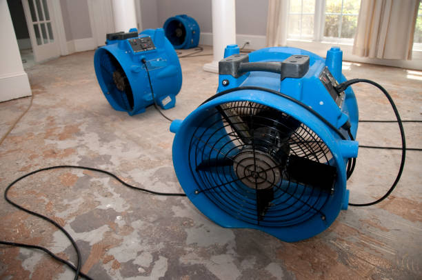 Best 24/7 water damage repair  in La Joya, TX