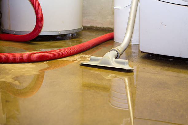 Best Water damage restoration near me  in La Joya, TX
