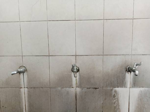 Best Mold removal after water damage  in La Joya, TX