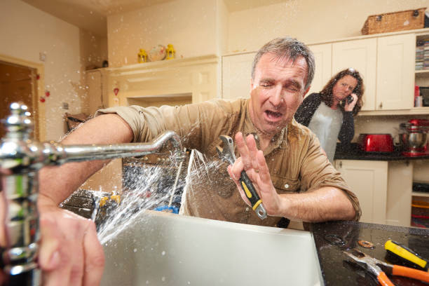 Best Carpet water damage restoration  in La Joya, TX